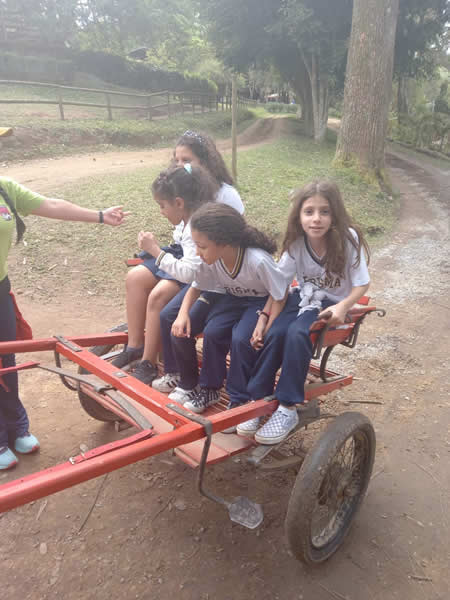 Bicho Mania 2022